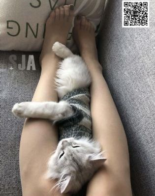 爱花沙也_BD免费高清观看