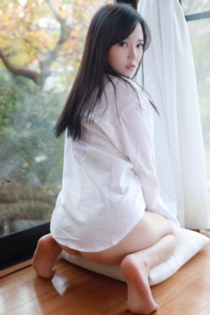 大明天子电视剧免费观看完整版_手机免费播放动漫
