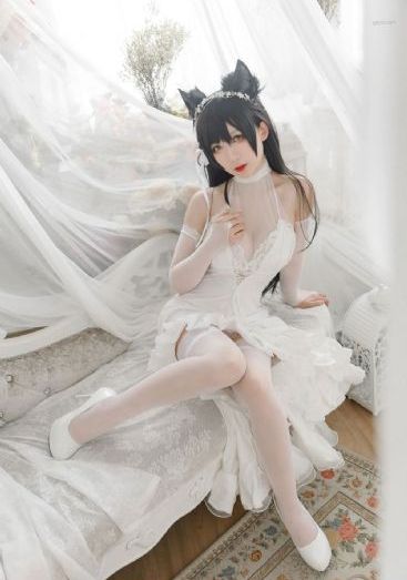 电车魔女_4K全集免费播放